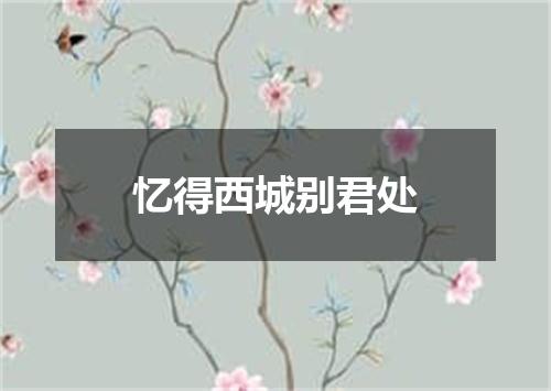 忆得西城别君处