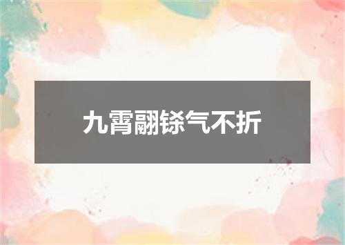 九霄翮铩气不折