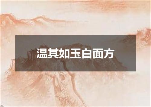 温其如玉白面方