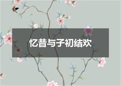 忆昔与子初结欢