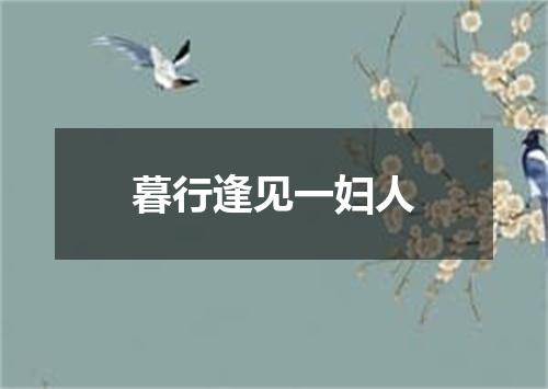 暮行逢见一妇人