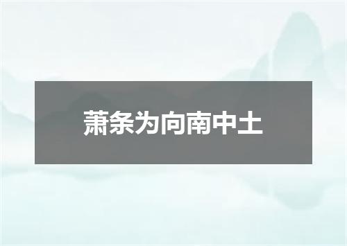 萧条为向南中土