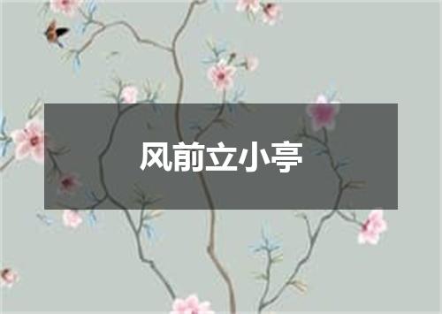风前立小亭