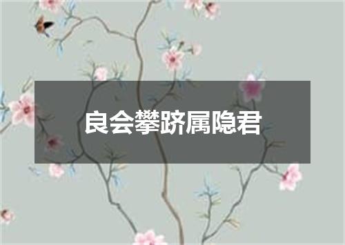良会攀跻属隐君