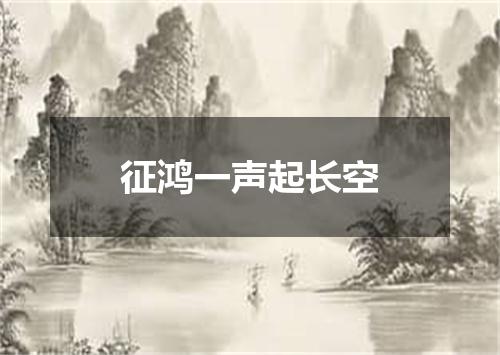 征鸿一声起长空