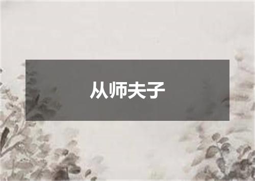从师夫子