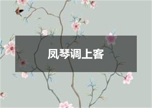 凤琴调上客