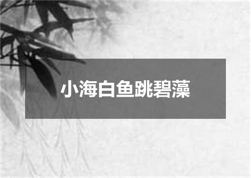 小海白鱼跳碧藻