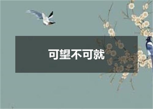 可望不可就