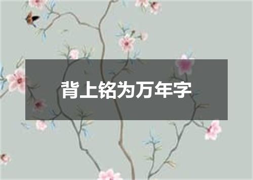 背上铭为万年字