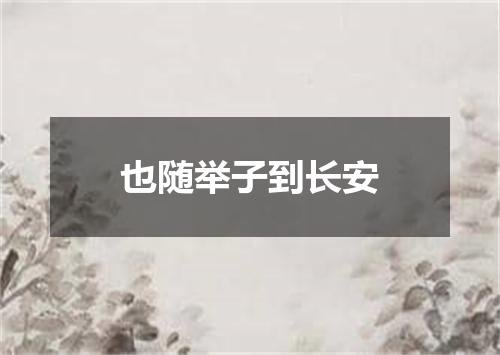 也随举子到长安