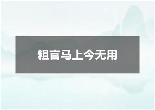粗官马上今无用