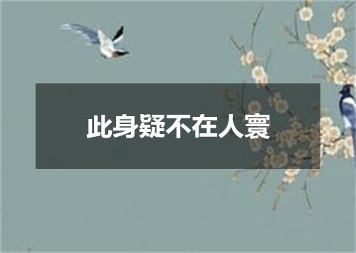 此身疑不在人寰