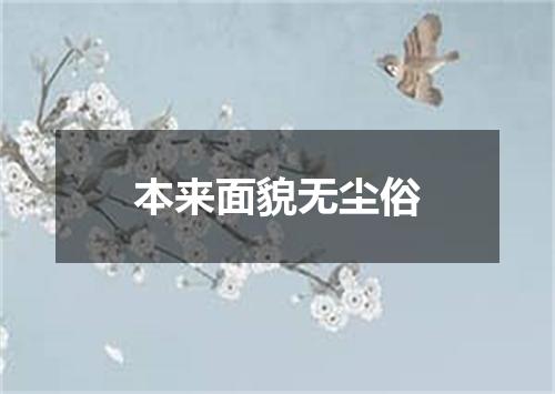 本来面貌无尘俗