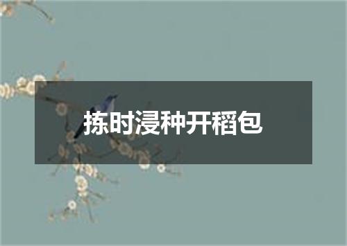 拣时浸种开稻包