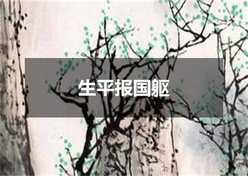 生平报国躯