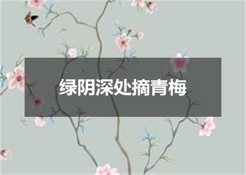 绿阴深处摘青梅
