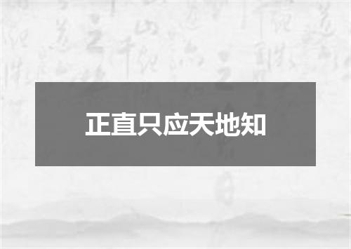 正直只应天地知