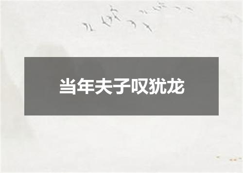 当年夫子叹犹龙