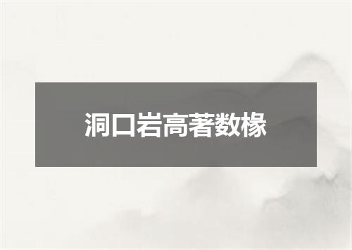 洞口岩高著数椽
