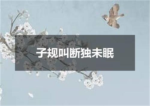 子规叫断独未眠