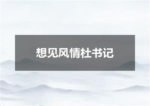 想见风情杜书记