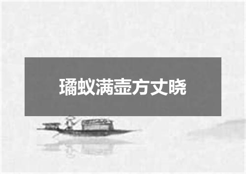 璚蚁满壶方丈晓