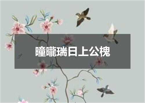 曈曨瑞日上公槐