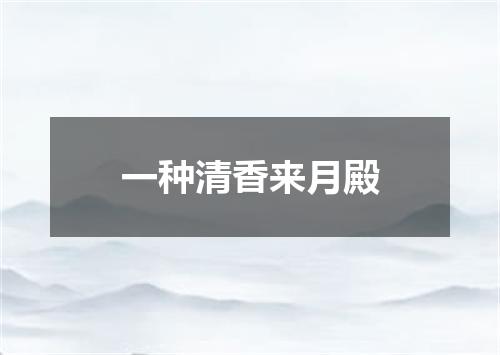 一种清香来月殿