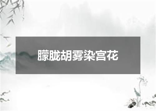 朦胧胡雾染宫花