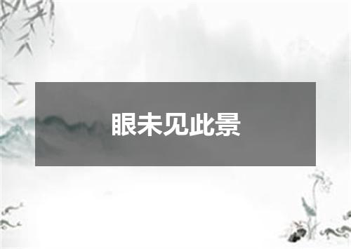 眼未见此景