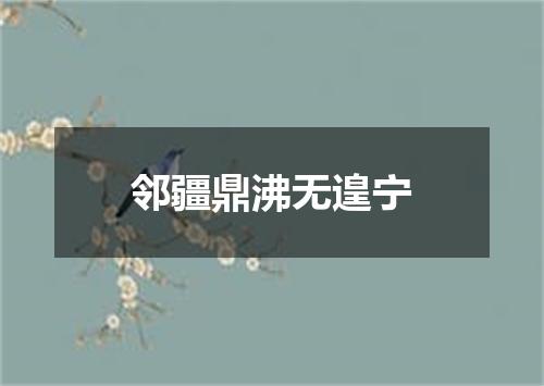 邻疆鼎沸无遑宁