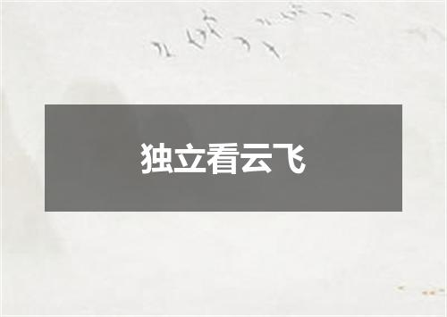 独立看云飞