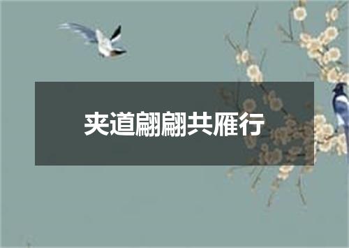 夹道翩翩共雁行