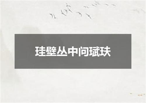 珪壁丛中问珷玞