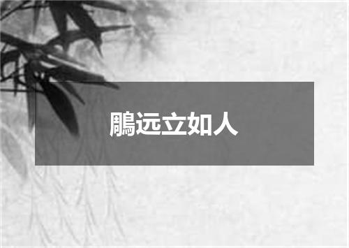 鵰远立如人