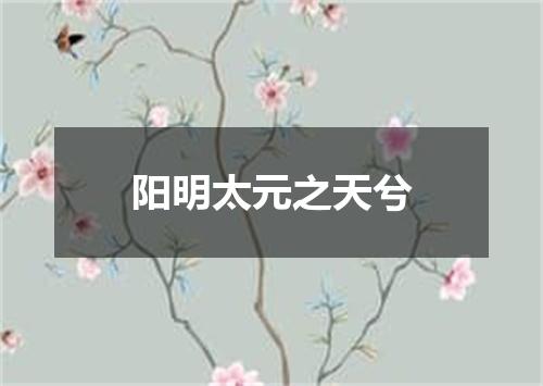阳明太元之天兮