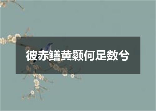 彼赤鳝黄颡何足数兮