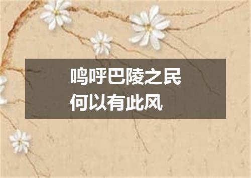 鸣呼巴陵之民何以有此风