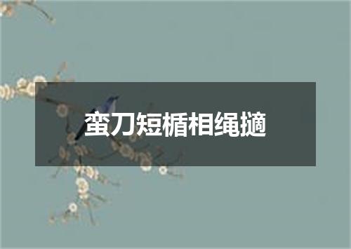 蛮刀短楯相绳擿