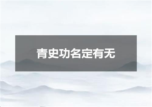 青史功名定有无