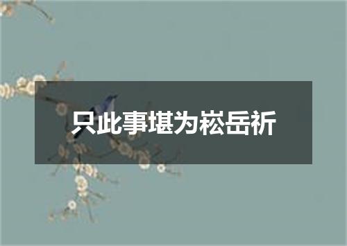 只此事堪为崧岳祈