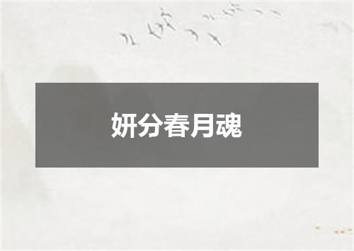 妍分春月魂