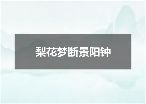 梨花梦断景阳钟