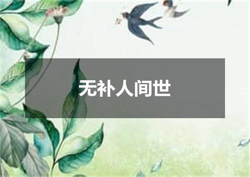 无补人间世