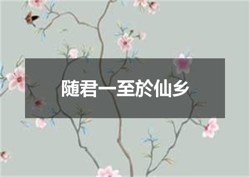 随君一至於仙乡
