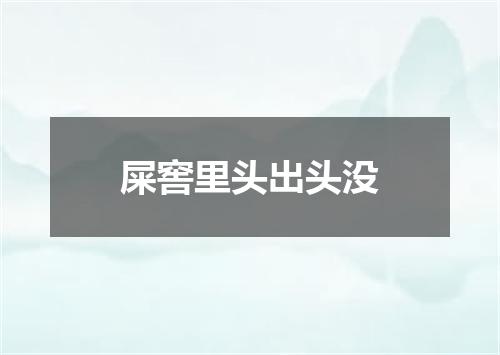 屎窖里头出头没