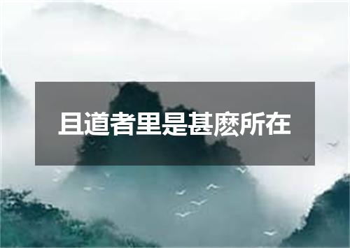 且道者里是甚麽所在