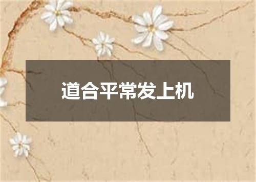 道合平常发上机