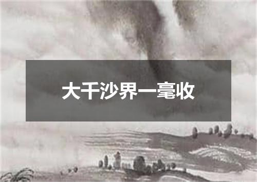 大千沙界一毫收